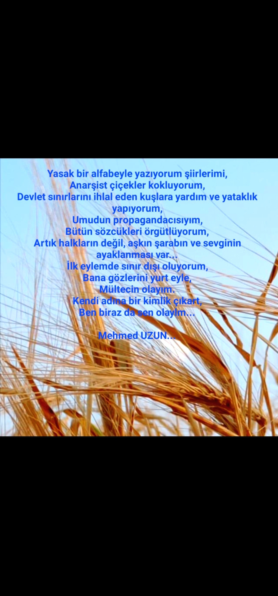 Elis Millerning kastingi