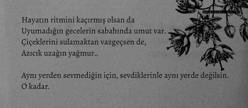 Pornhub kabi saytlar Vaginal harakatda