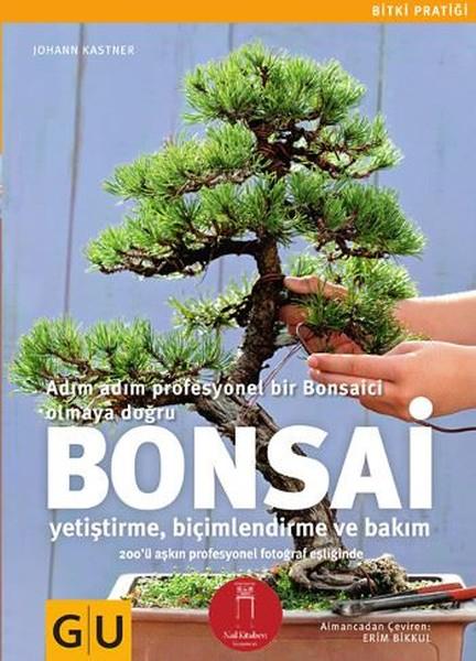 mini bonsai shop Complete Spruce Bonsai Grow Kit for Beginners  Buzzy Seeds