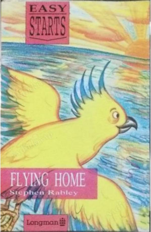 flying home book