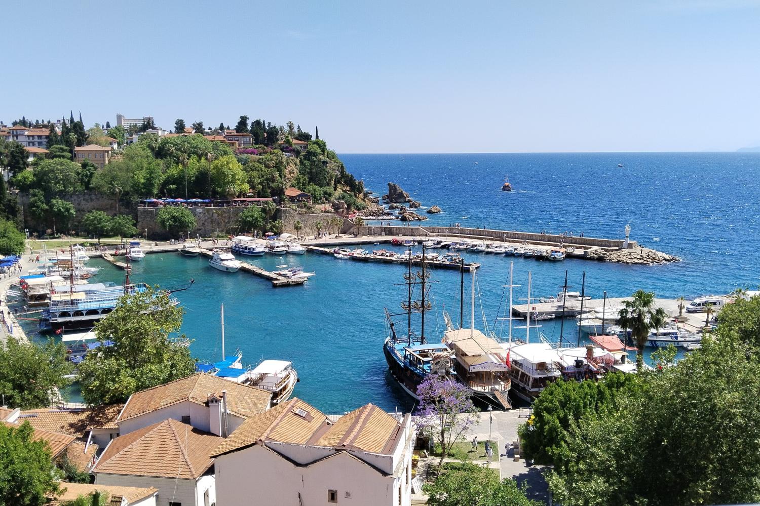 Kırmızı bir gül müydü elinde solan... - 1000Kitap